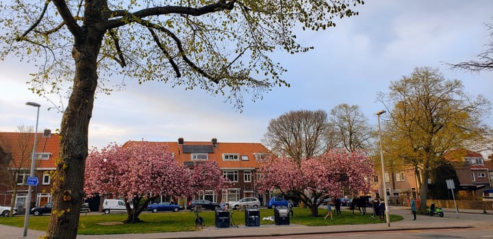 Foto 52 van Zaanenlaan 27