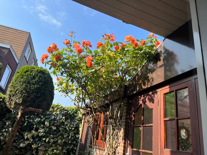 Foto 54 van Zaanenlaan 27