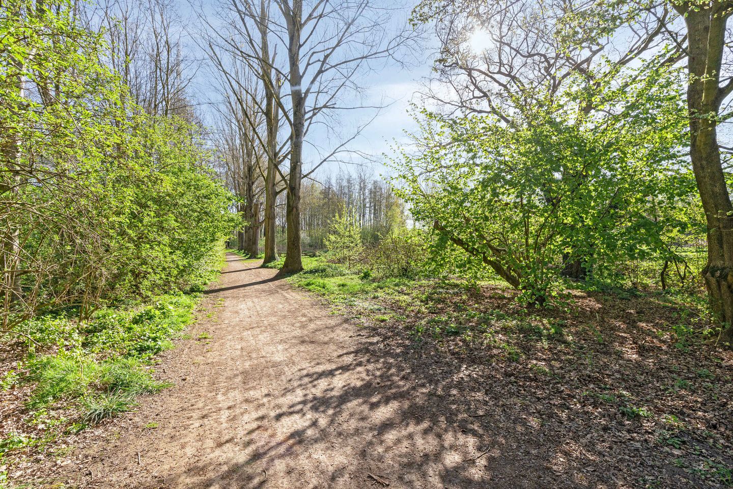 Foto 35 van Duinkerkenlaan 79