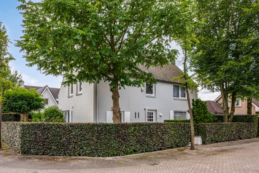 Photo 1 of Hoprank 9