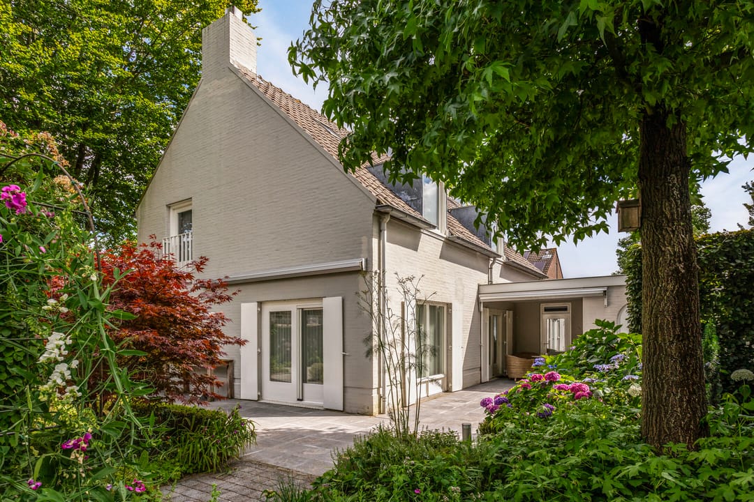 Photo 2 of Hoprank 9