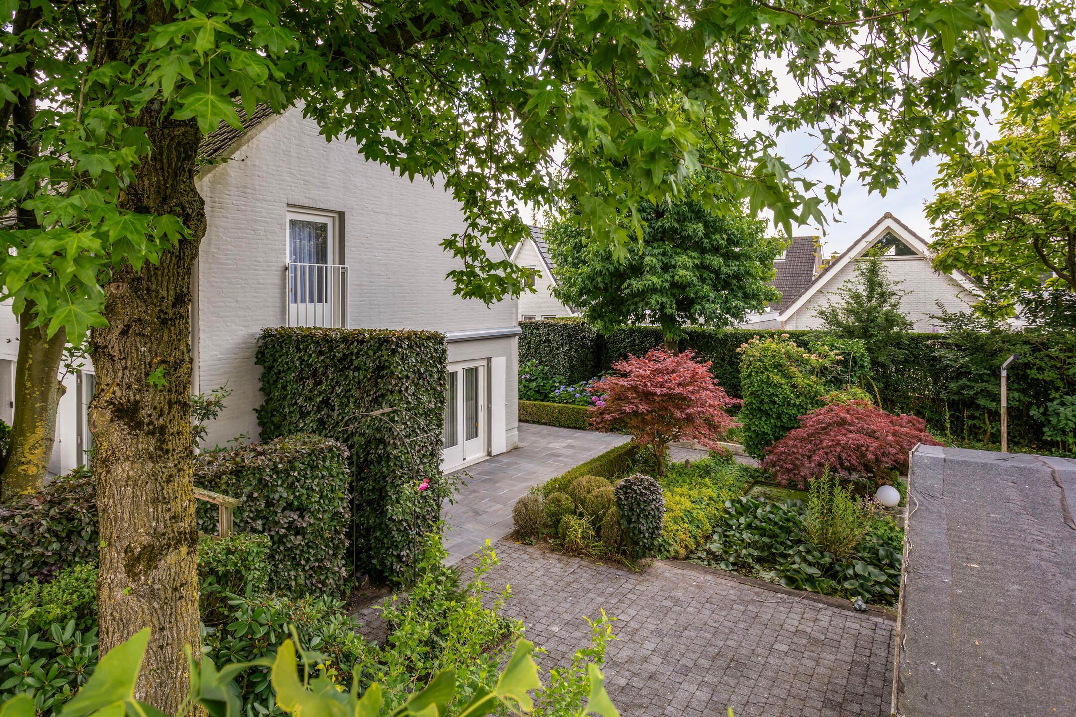 Photo 24 of Hoprank 9