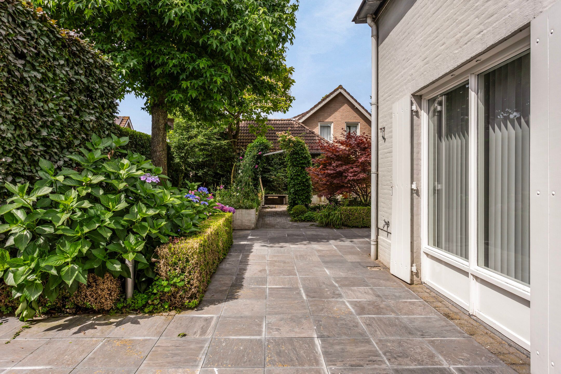 Photo 27 of Hoprank 9