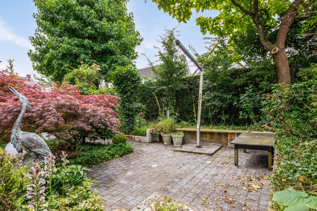 Photo 28 of Hoprank 9