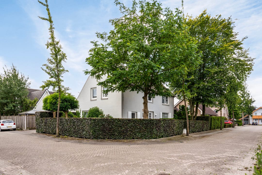 Photo 31 of Hoprank 9