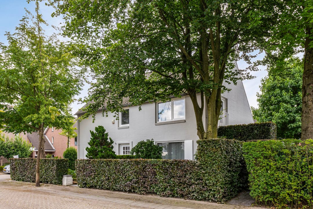 Photo 32 of Hoprank 9