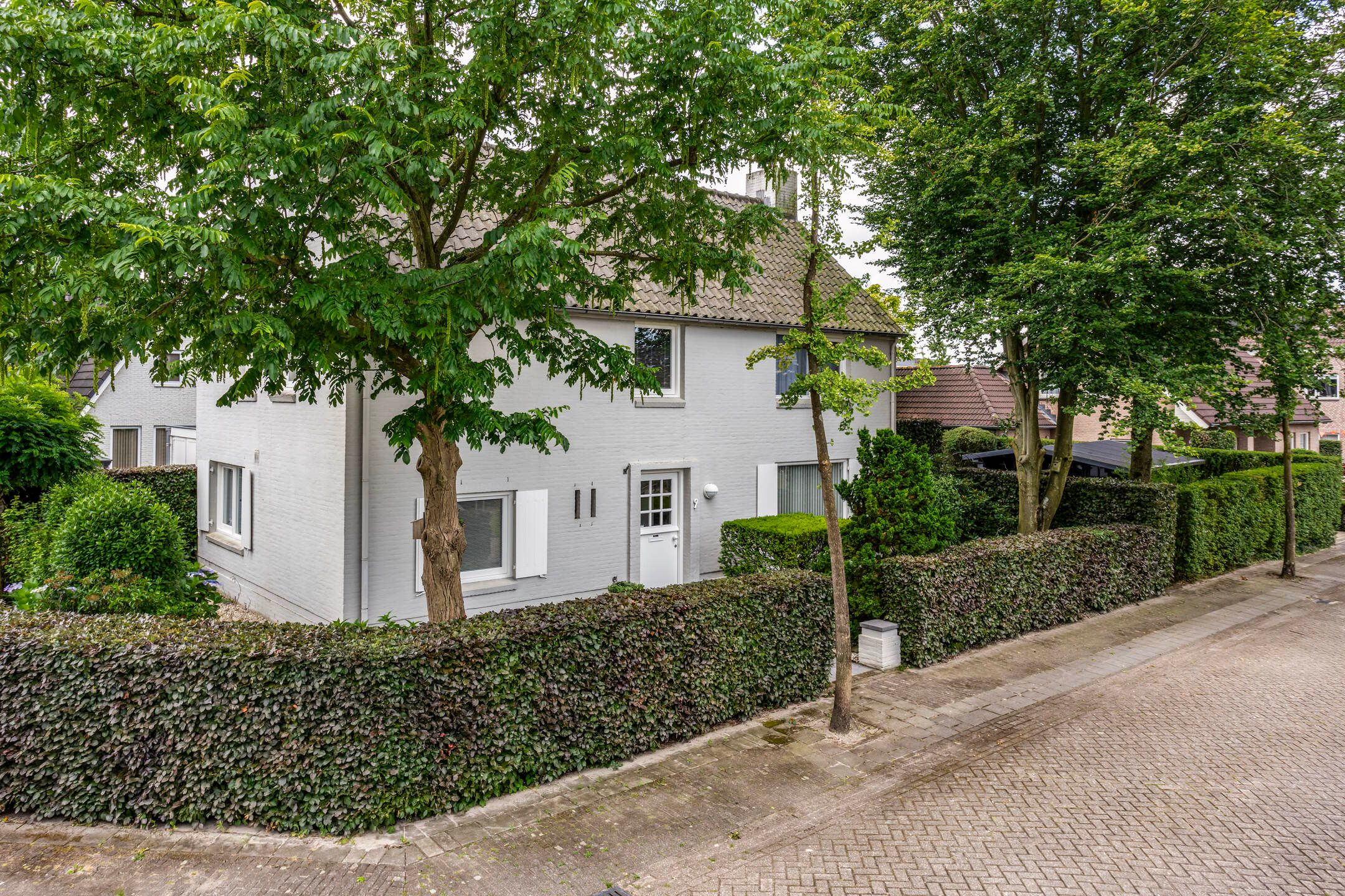 Photo 33 of Hoprank 9