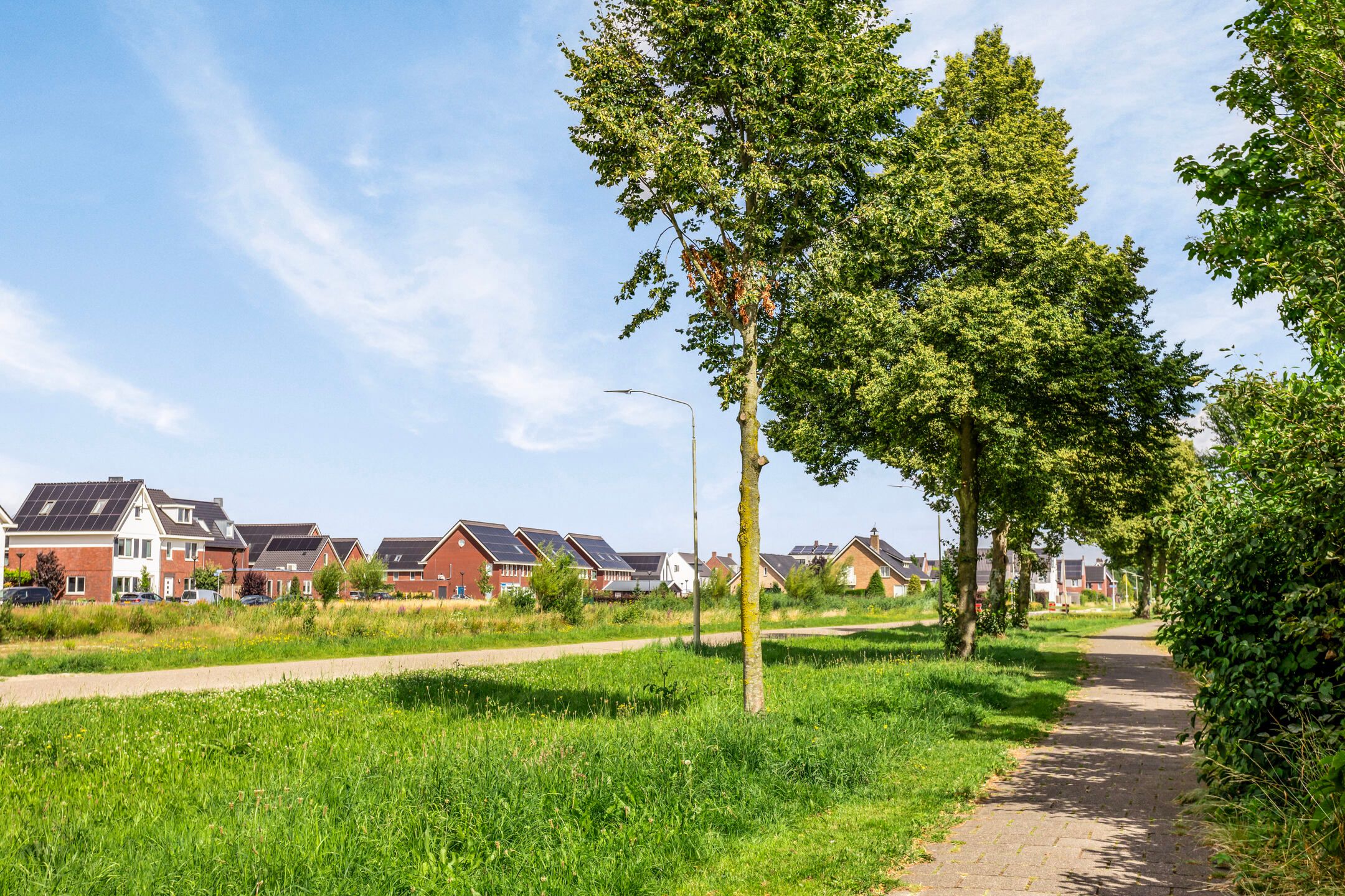 Photo 36 of Hoprank 9