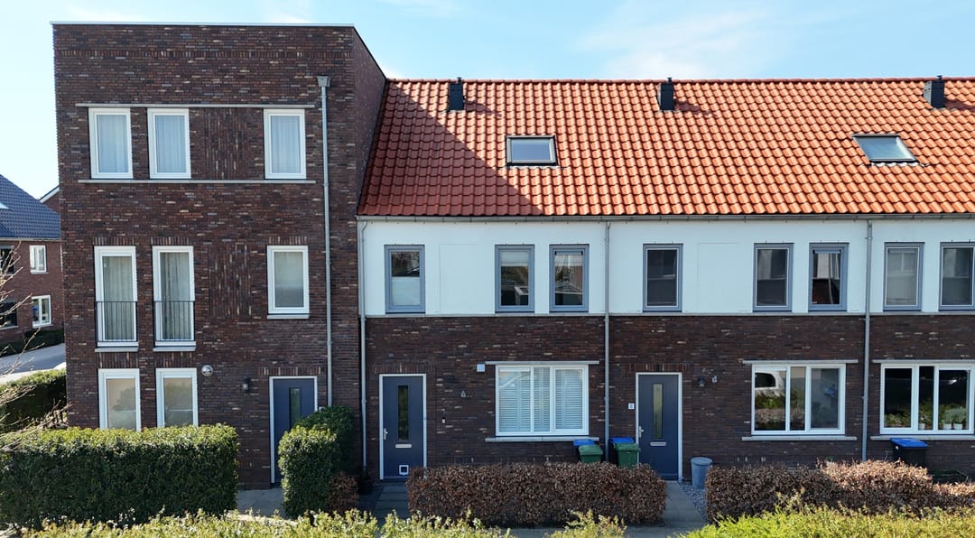 Foto 1 van Palmkool 10