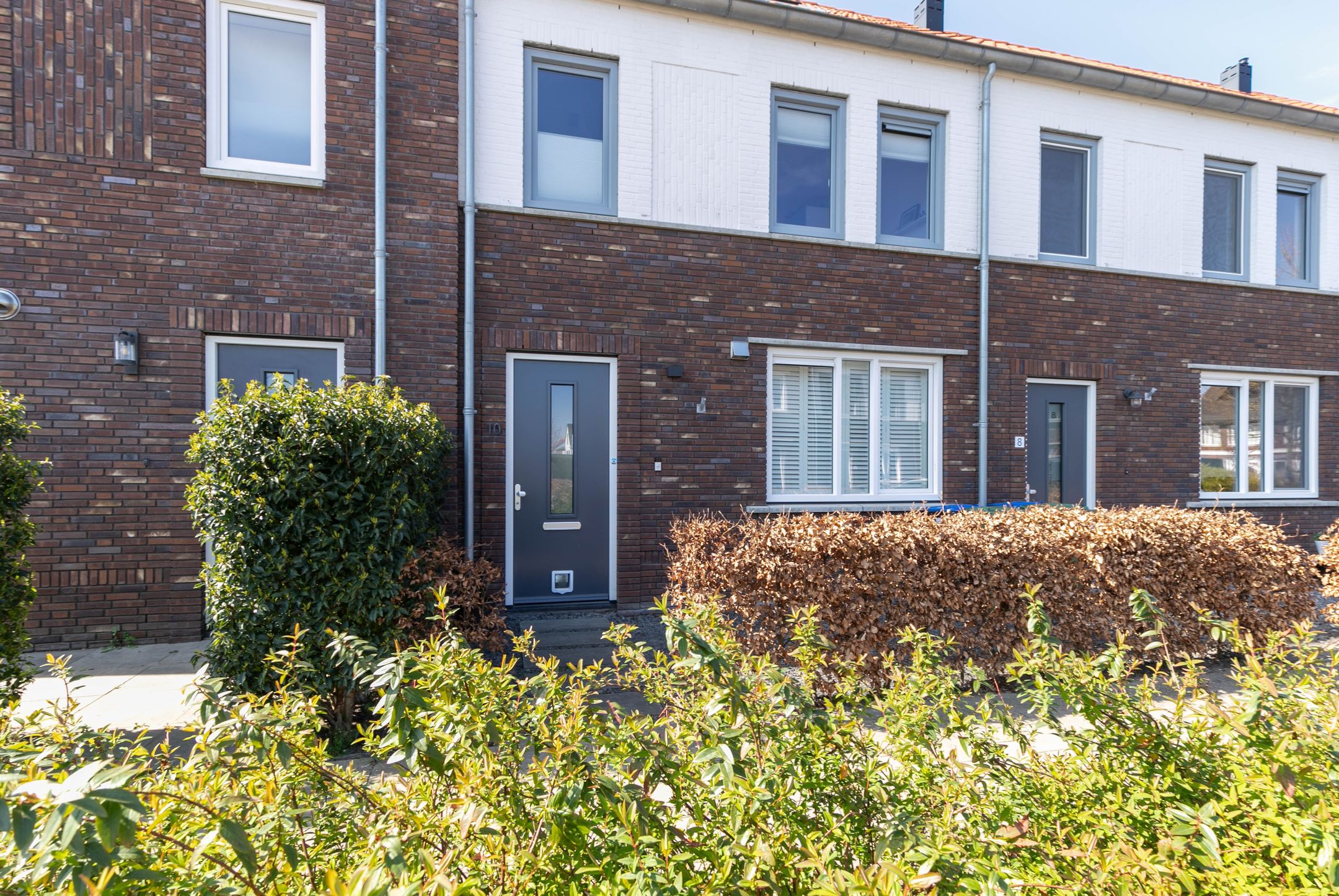 Foto 6 van Palmkool 10