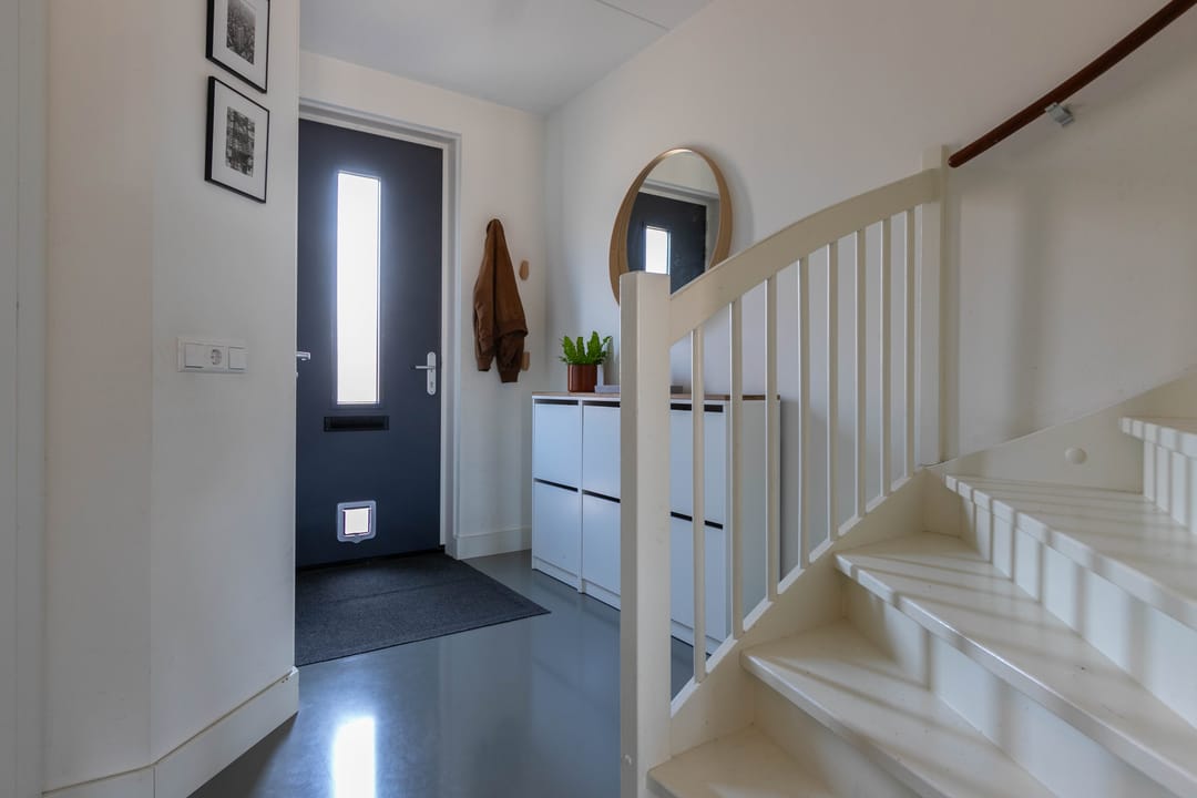 Foto 7 van Palmkool 10