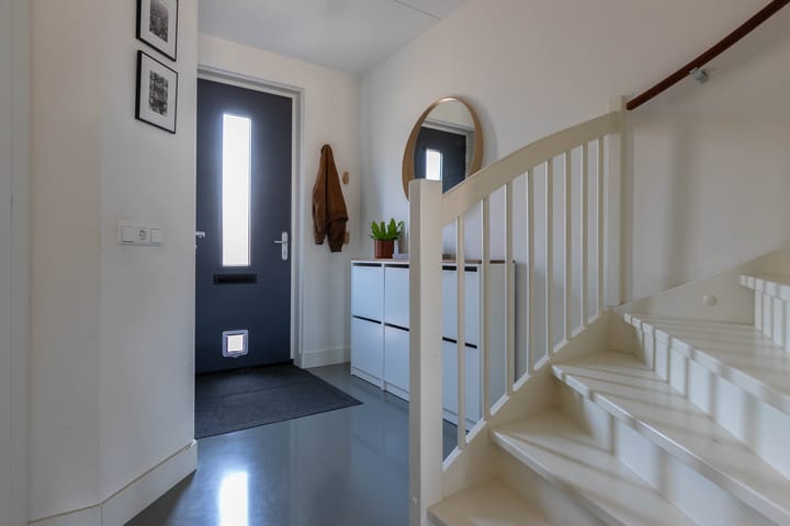 Foto 7 van Palmkool 10