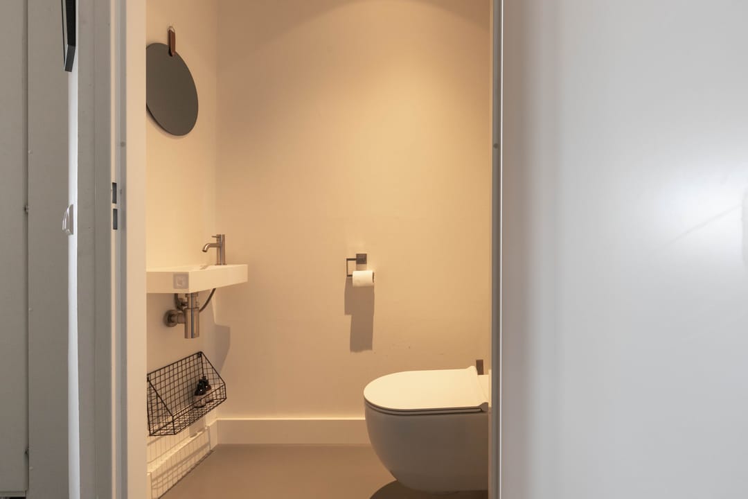 Foto 8 van Palmkool 10