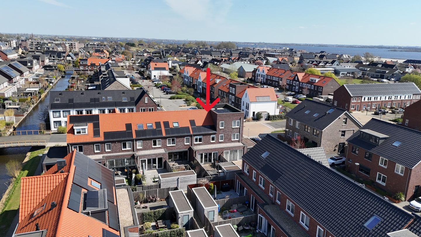 Foto 35 van Palmkool 10