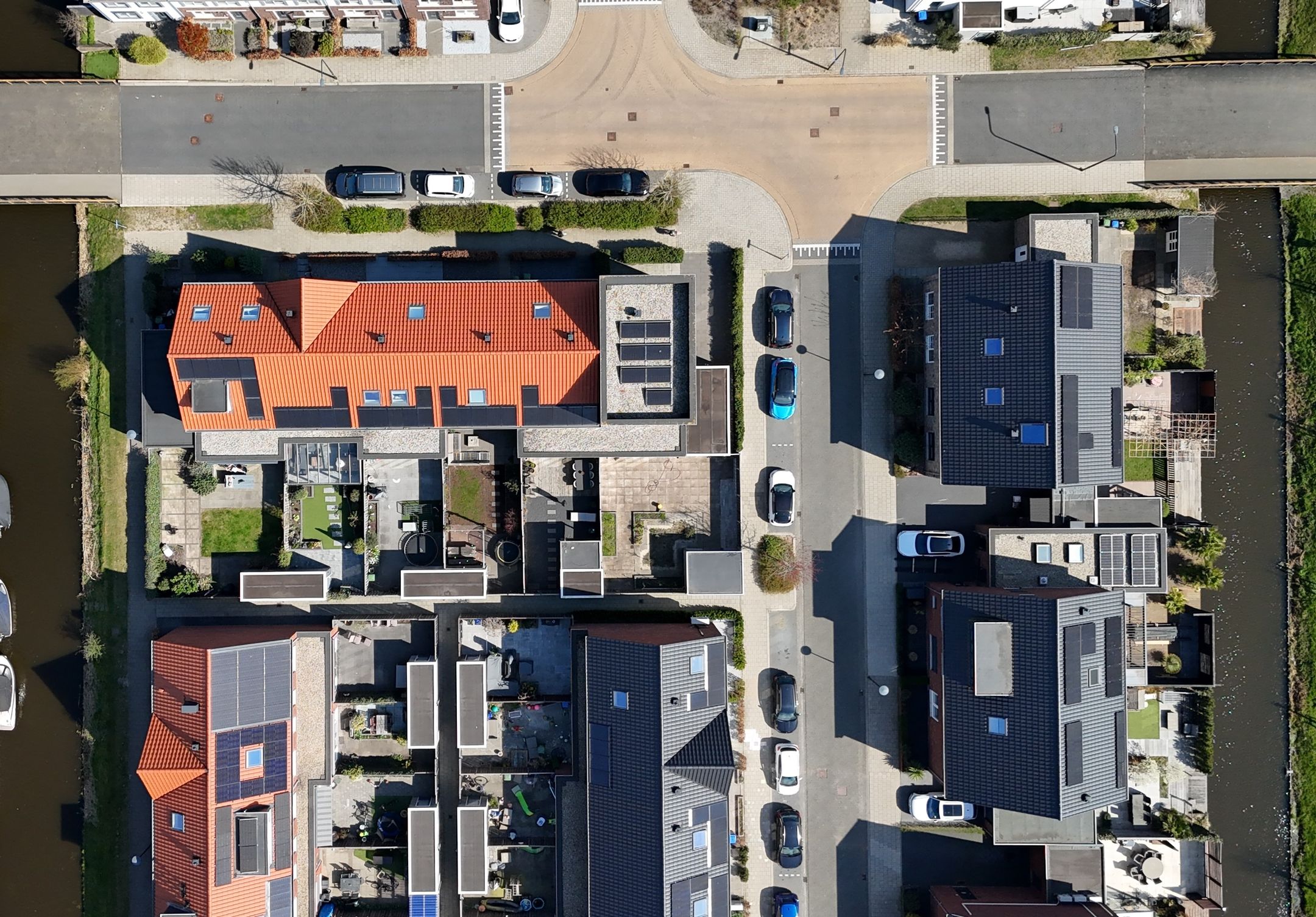 Foto 36 van Palmkool 10