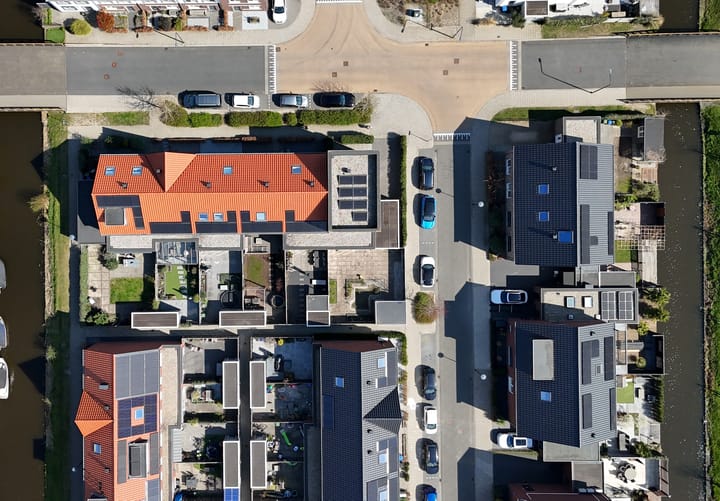 Foto 36 van Palmkool 10