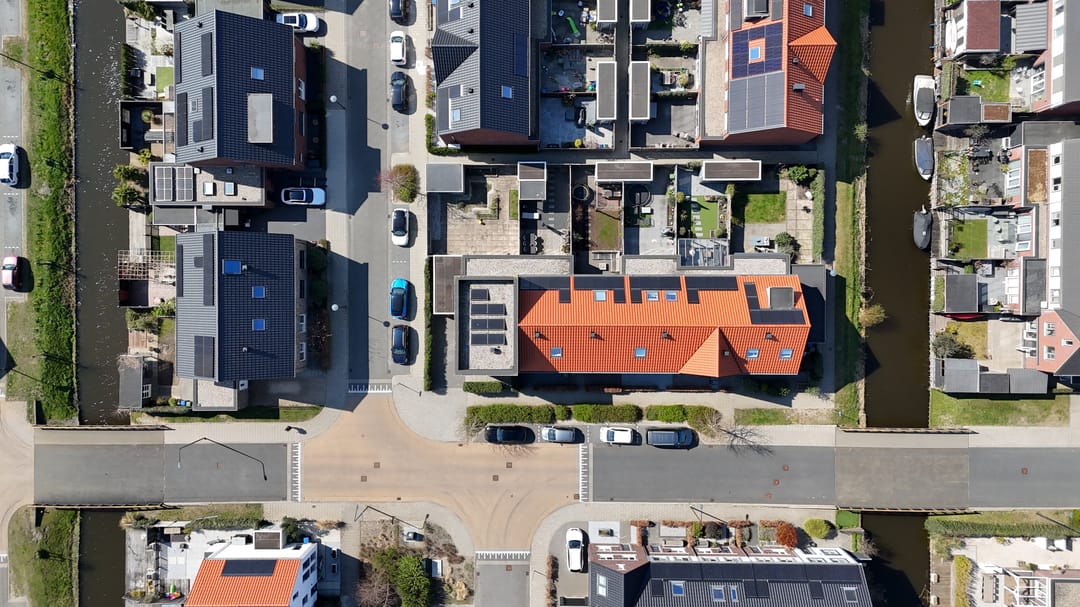 Foto 37 van Palmkool 10