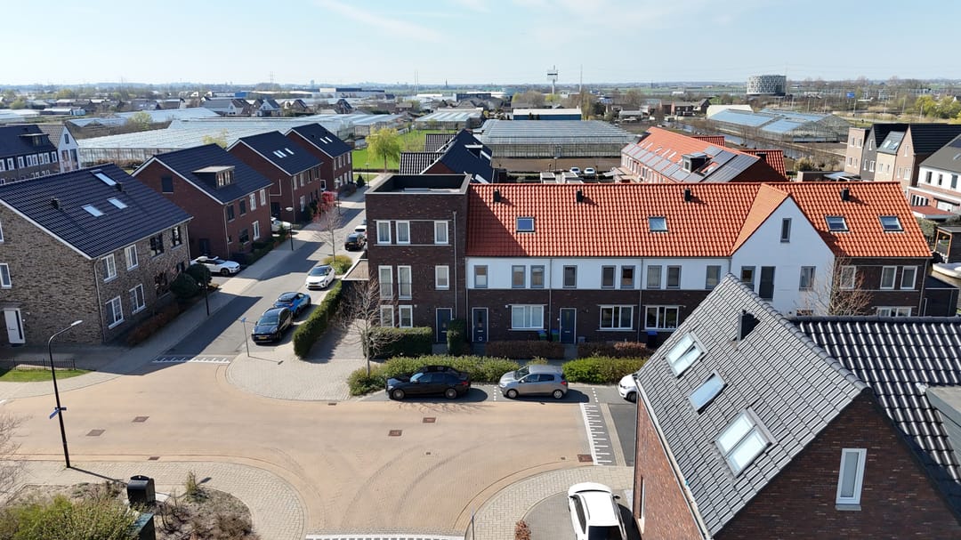 Foto 38 van Palmkool 10