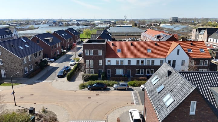 Foto 38 van Palmkool 10