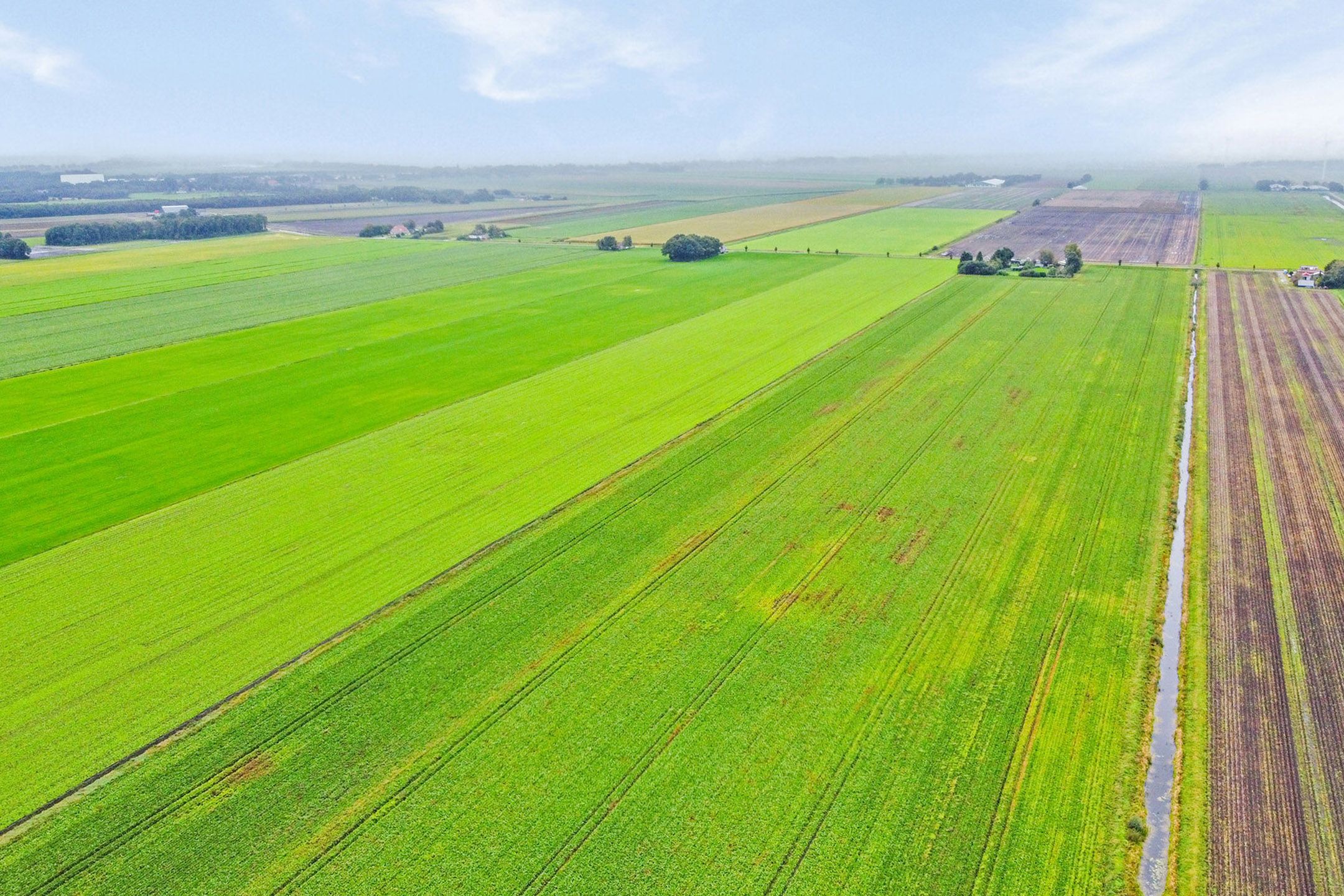 Foto 45 van Roswinkelerstraat 127