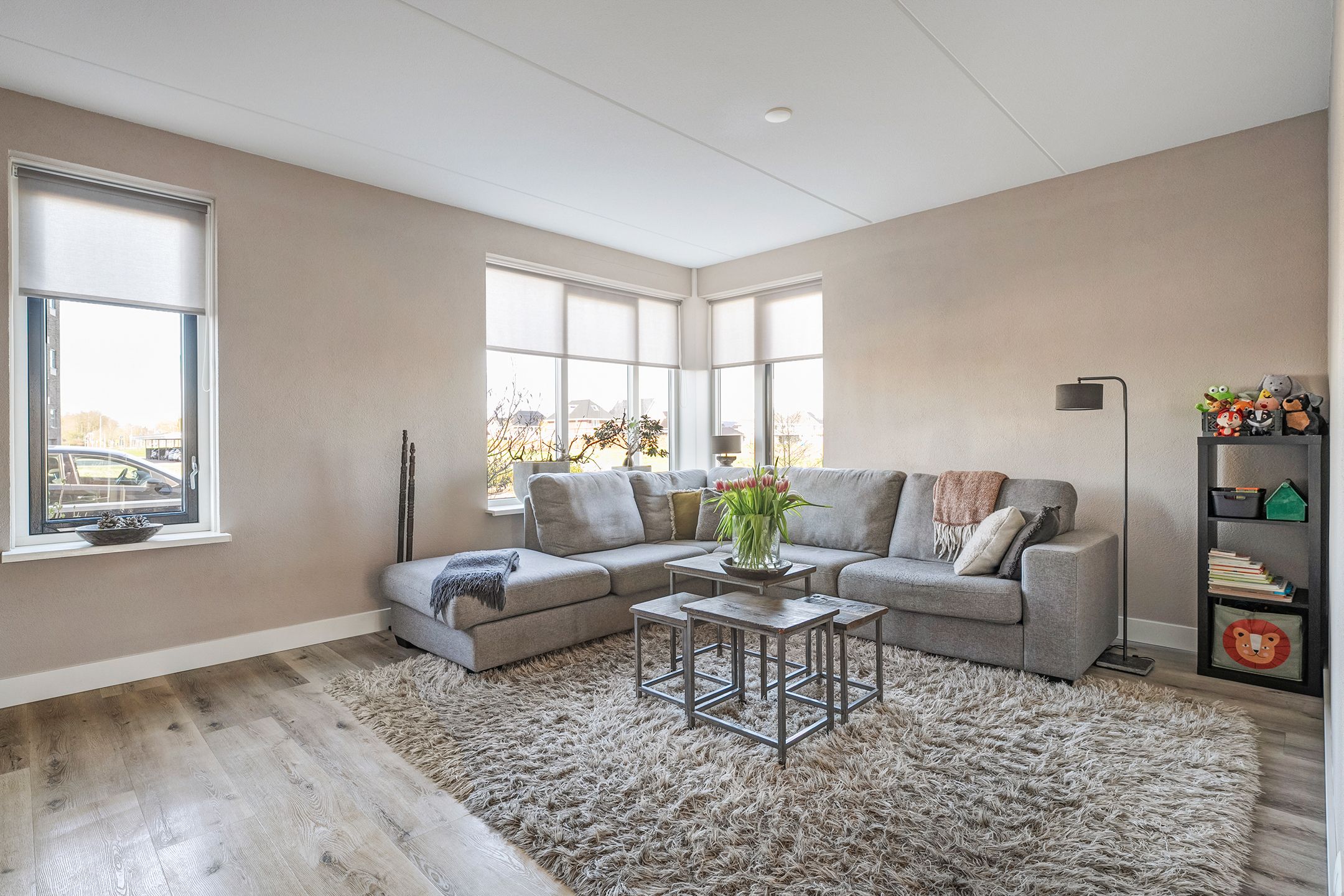 Foto 6 van Van Sandickstraat 15