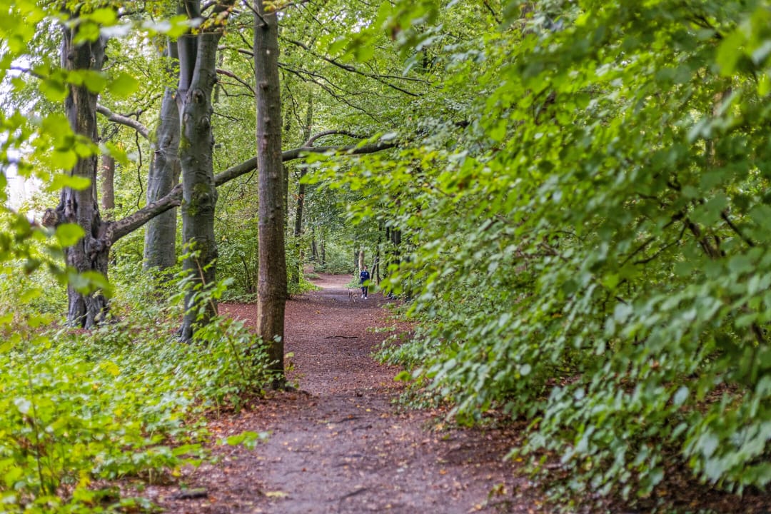 Foto 43 van Krimperij 15