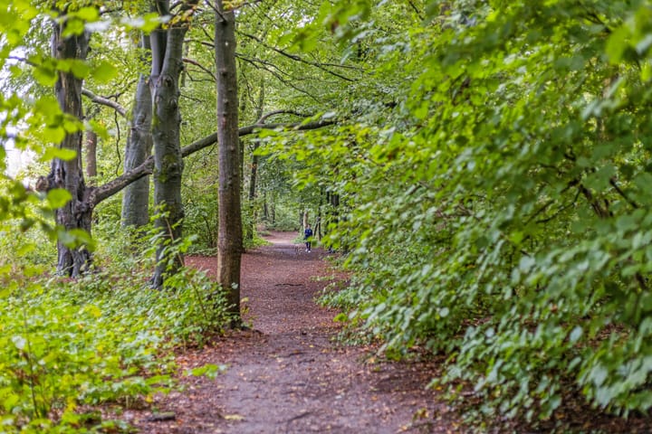 Foto 43 van Krimperij 15