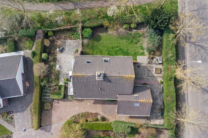 Photo 42 of Kokmeeuwstraat 61