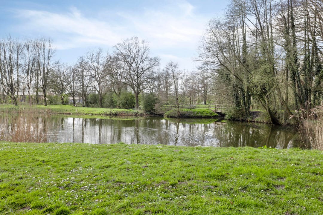 Foto 38 van Zeehondstraat 50