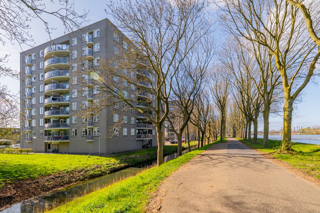 Foto 2 van Zeezigt 152