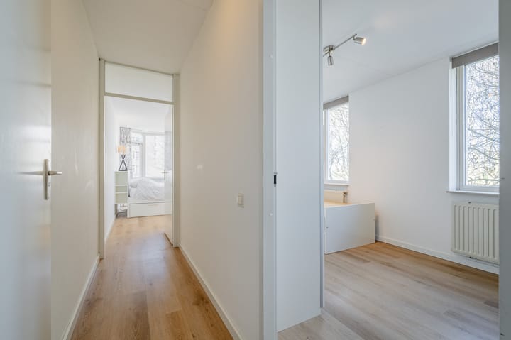 Photo 20 of Zeezigt 152