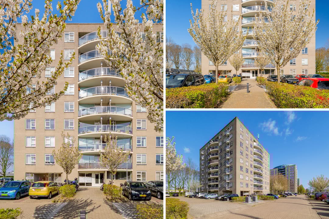 Foto 37 van Zeezigt 152