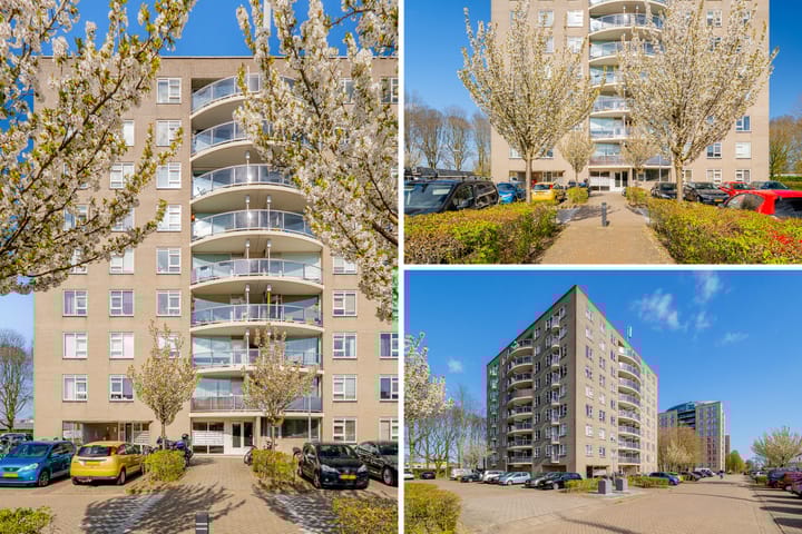 Photo 37 of Zeezigt 152