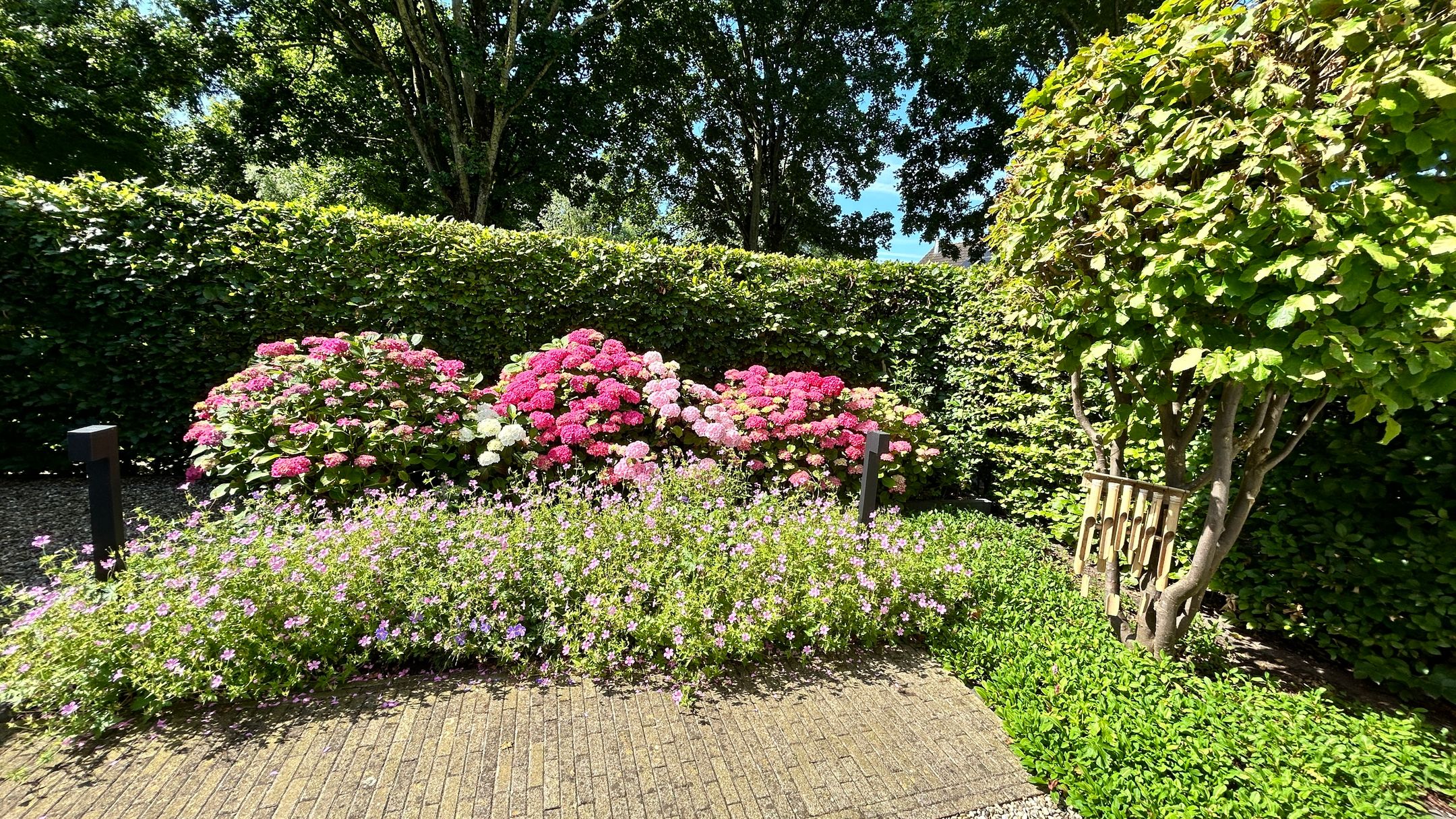 Foto 54 van Zalmstraat 9