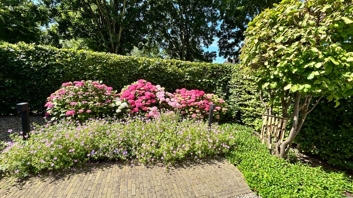 Foto 54 van Zalmstraat 9