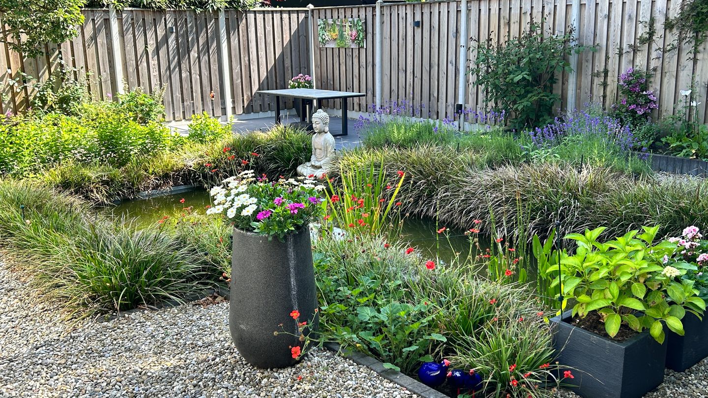 Foto 55 van Zalmstraat 9