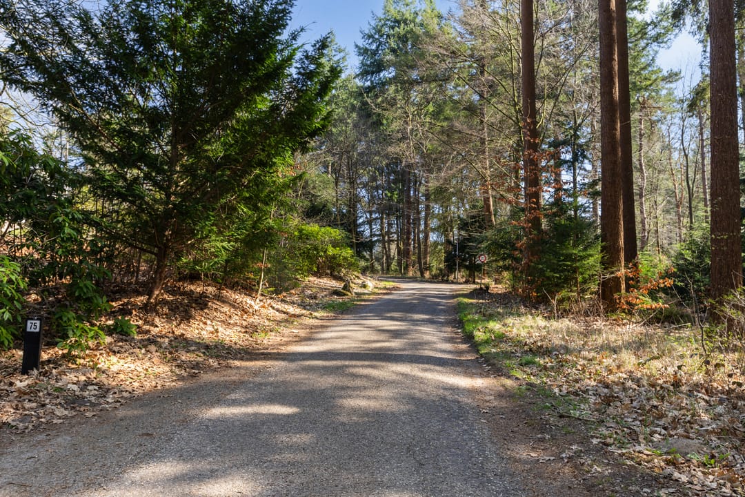 Foto 56 van Stakenberg 75