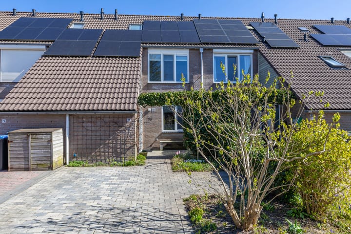 Foto 4 van Bolder 75