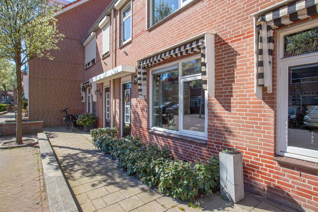 Foto 7 van Oranjedam 50