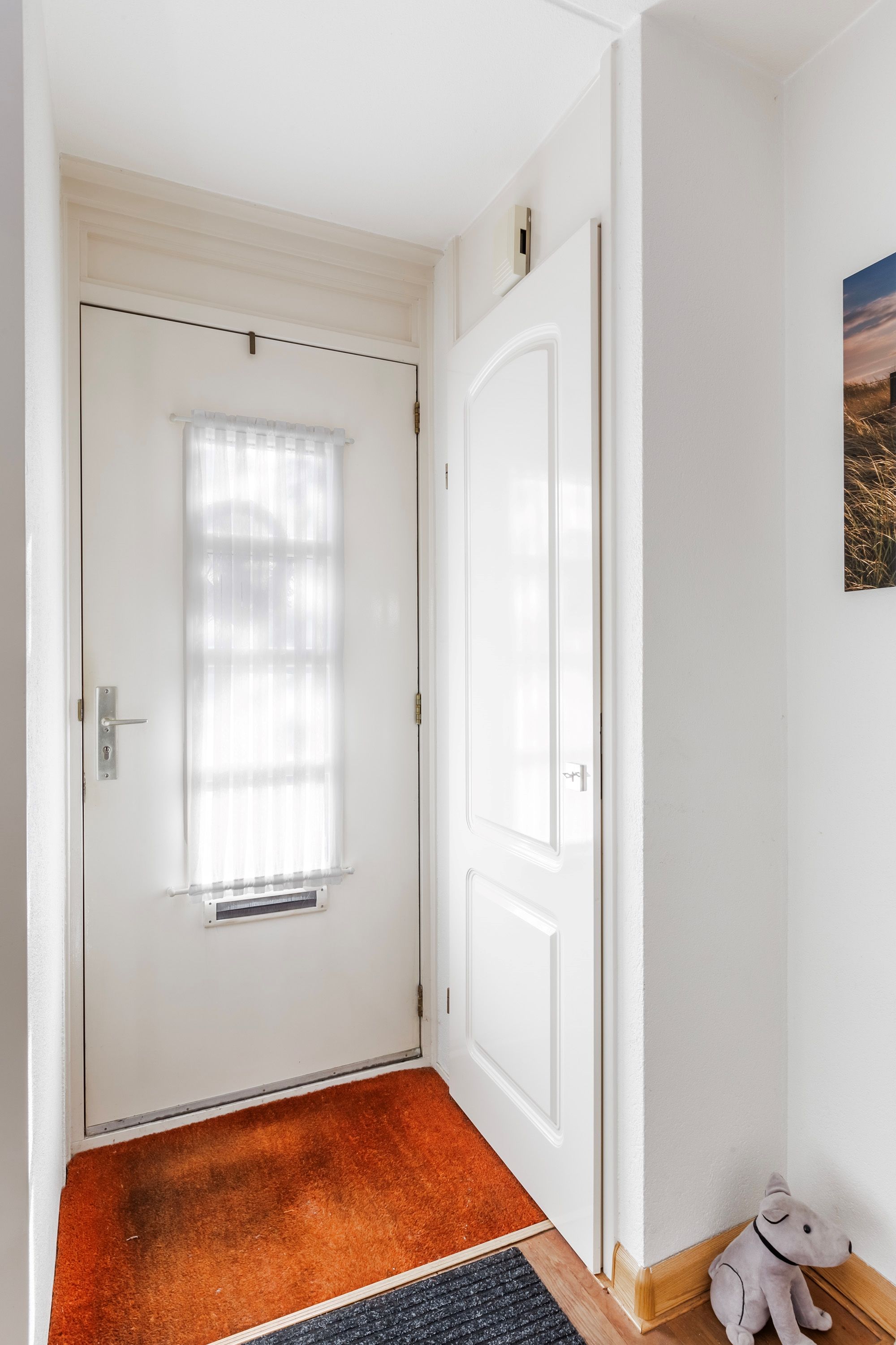 Foto 9 van Oranjedam 50