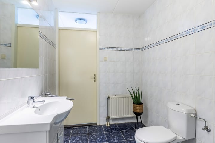 Foto 25 van Oranjedam 50