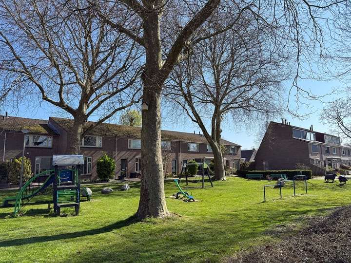 Foto 37 van Kruiwiel 6