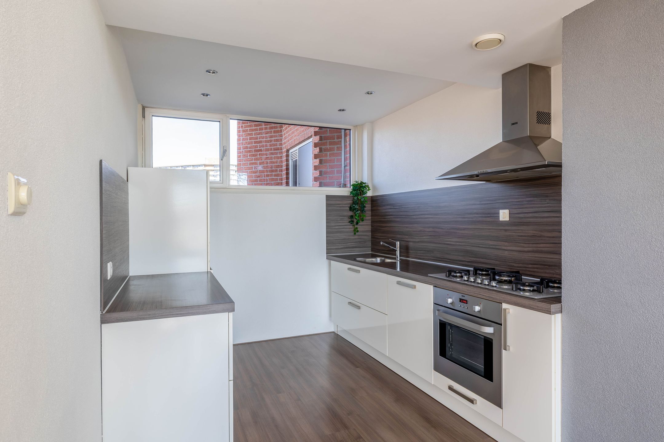 Foto 3 van Pietersberg 155