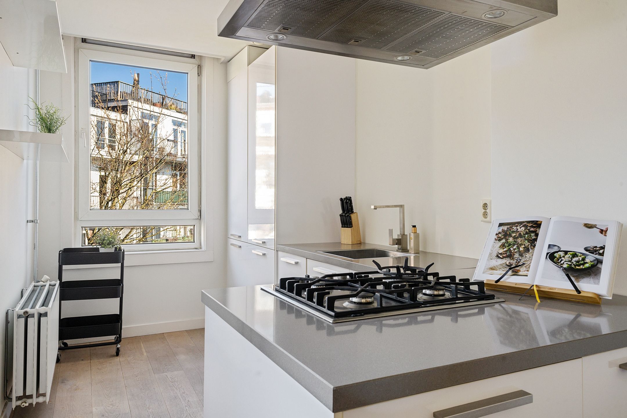 Foto 6 van Borgerstraat 260-3