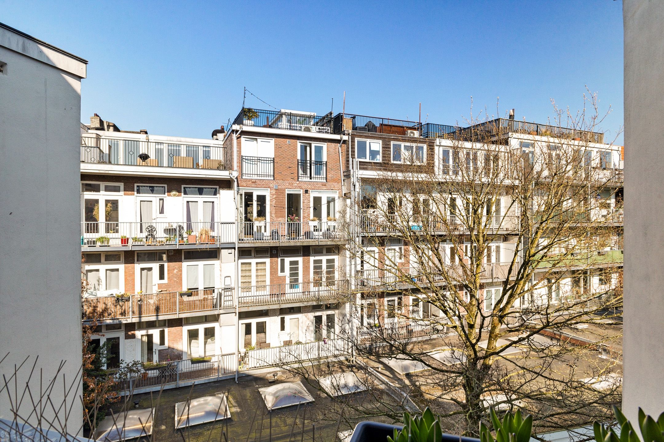 Foto 24 van Borgerstraat 260-3