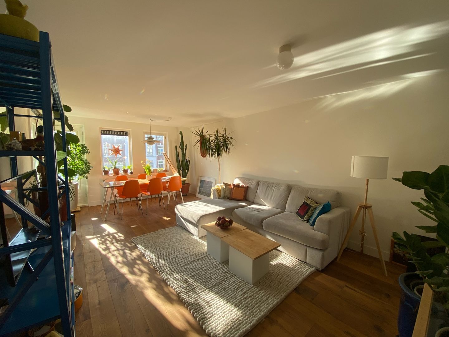 Foto 5 van Eerste Van Swindenstraat 215