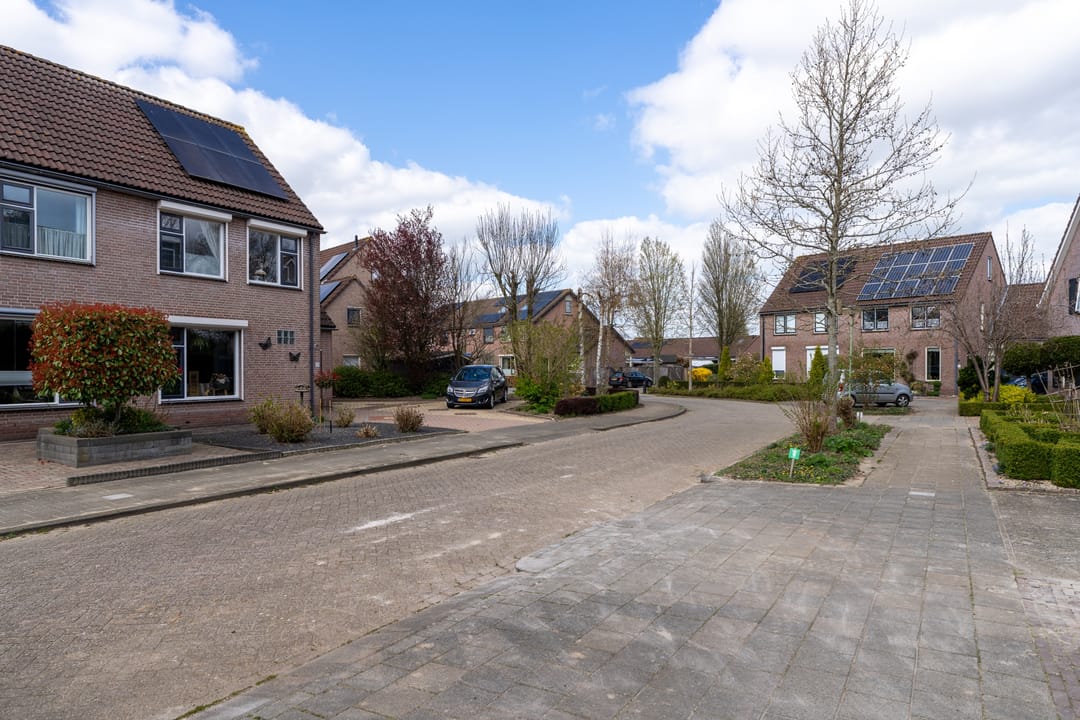 Foto 2 van Anemoonstraat 19