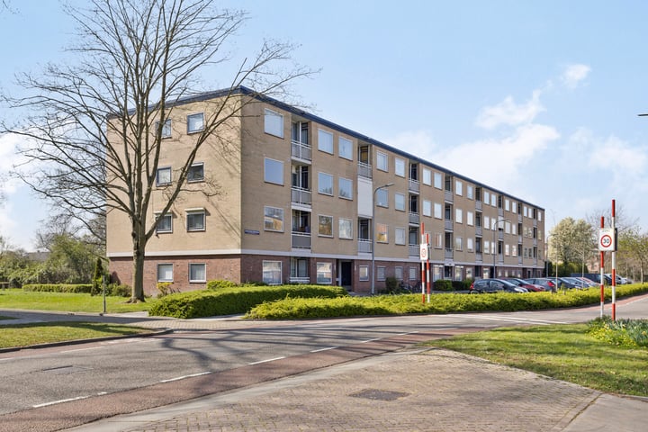 Bekijk foto van Jacob Pieterse Boreelstraat 32