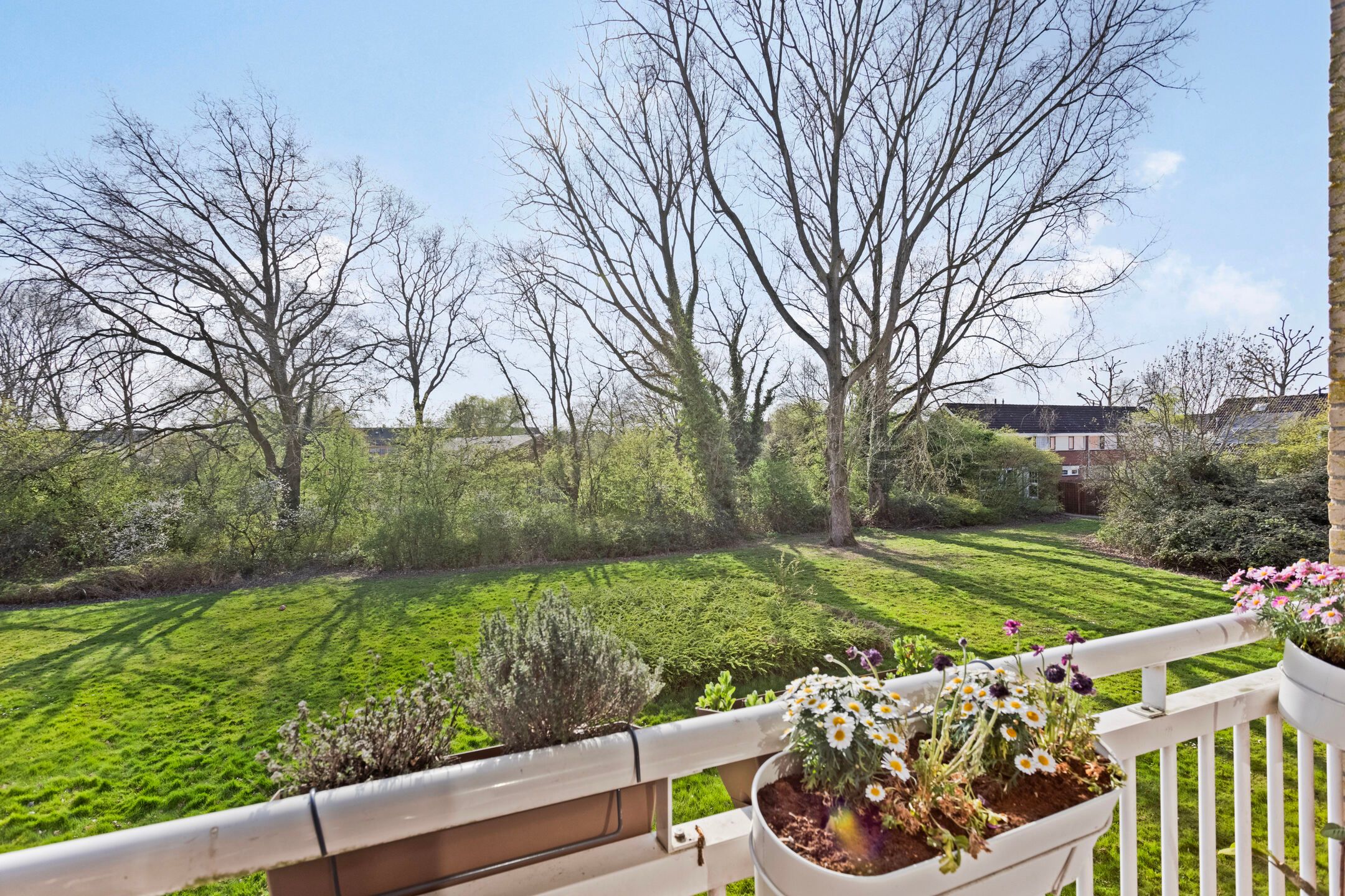 Foto 24 van Jacob Pieterse Boreelstraat 32