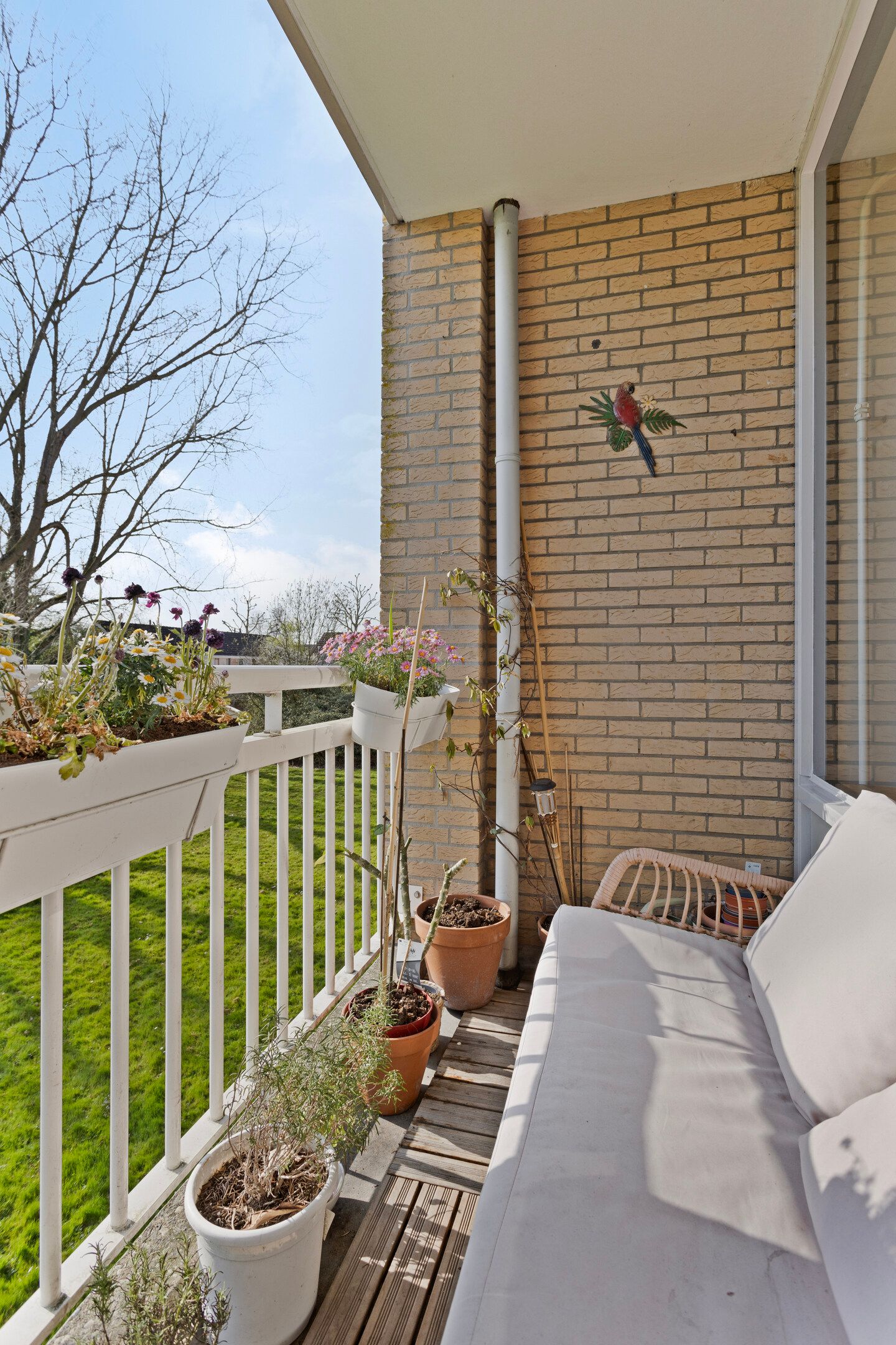 Foto 25 van Jacob Pieterse Boreelstraat 32